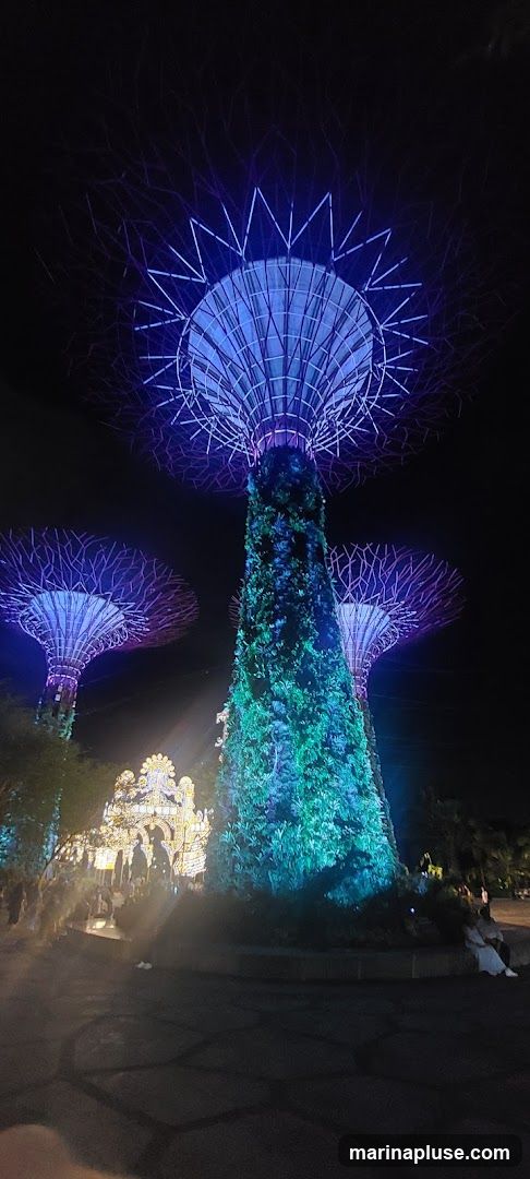 The Supertrees at Gardens by the Bay are illuminated with vibrant blue and purple lights against a dark night sky. The central Supertree is covered in lush greenery and lit with green and blue lights. In the background, a large, ornate structure is adorned with bright yellow lights, and several people are visible walking around the illuminated landscape.
