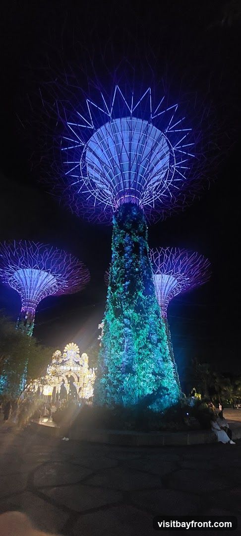 The Supertrees at Gardens by the Bay are illuminated with vibrant blue and purple lights against a dark night sky. The central Supertree is covered in lush greenery and lit with green and blue lights. In the background, a large, ornate structure is adorned with bright yellow lights, and several people are visible walking around the illuminated landscape.