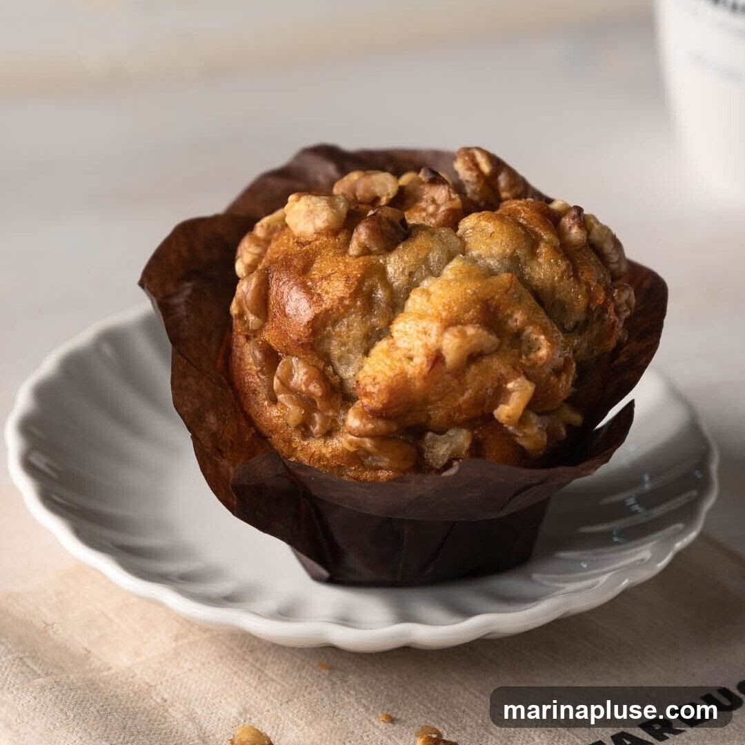 A close-up shot of a walnut muffin in a brown paper liner, served on a white fluted plate. The muffin is topped with whole walnuts and has a golden-brown crust. The plate rests on a light-colored cloth with a partial Starbucks logo visible.