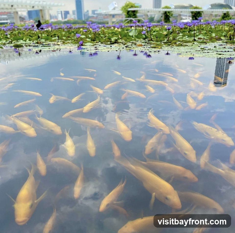Lotus On Water - Marina Bay Sands