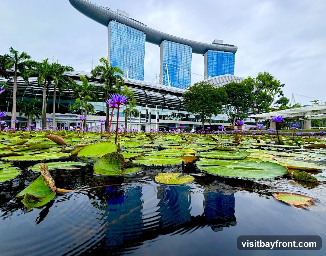 A low-angle view of a water feature with lily pads and purple flowers in the foreground, reflecting the iconic curved roof of the Marina Bay Sands hotel in Singapore. Palm trees and modern architecture frame the scene under an overcast sky.