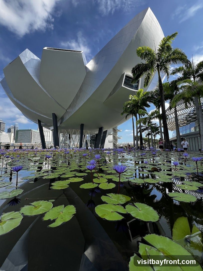 A low-angle view of the ArtScience Museum in Singapore, showcasing its distinctive lotus-inspired architecture against a bright blue sky. In the foreground, a reflecting pool is filled with green lily pads and blooming purple water lilies. Palm trees line the right side of the frame, adding to the tropical ambiance.