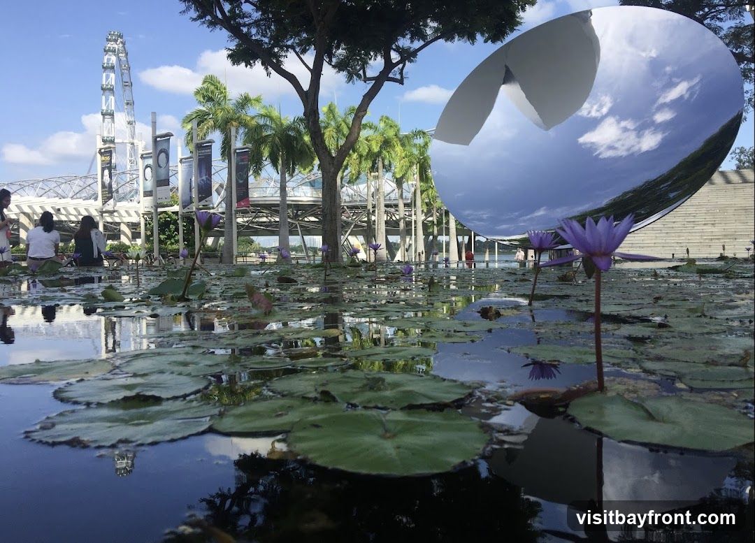 A serene water feature filled with lily pads and purple water lilies, reflecting the sky and surrounding architecture. In the background, a Ferris wheel and palm trees are visible under a bright blue sky. A large reflective sculpture dominates the right side of the frame.