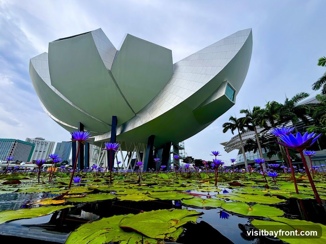 A low-angle view of the ArtScience Museum in Singapore, featuring its distinctive lotus-shaped architecture. The foreground is filled with vibrant purple water lilies and green lily pads floating on a reflective pond. Palm trees and modern city buildings are visible in the background under a partly cloudy sky.