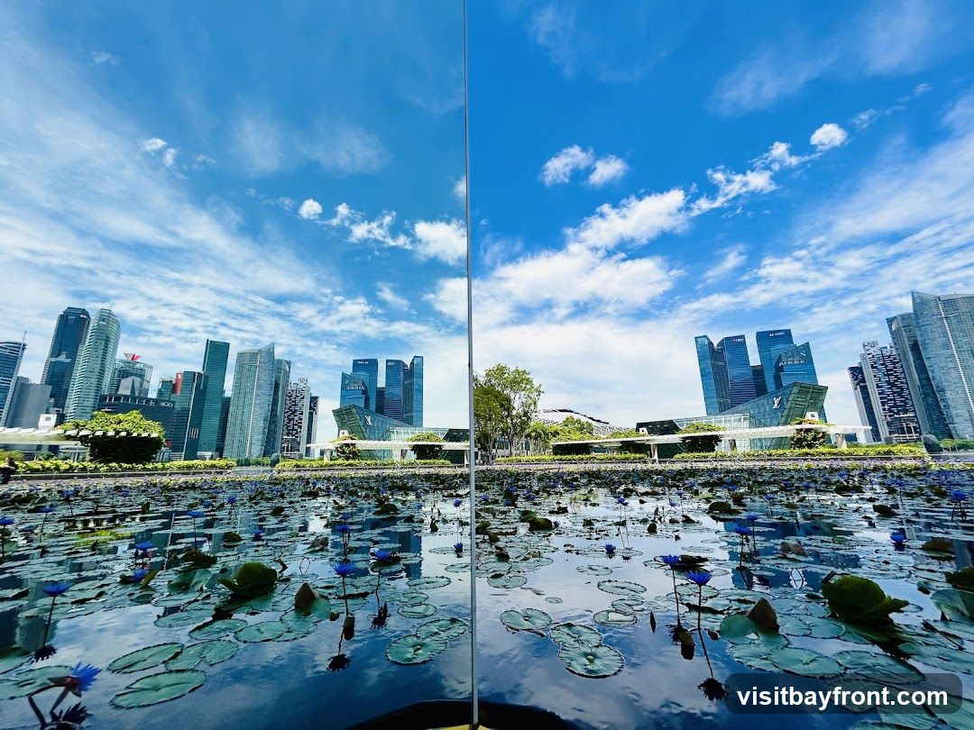 A wide-angle view of a modern city skyline reflected in a lotus pond under a bright blue sky with scattered clouds. The foreground features water lilies and green leaves floating on the surface, while tall glass skyscrapers rise in the background. A vertical line divides the image, possibly from a pole or reflection artifact.