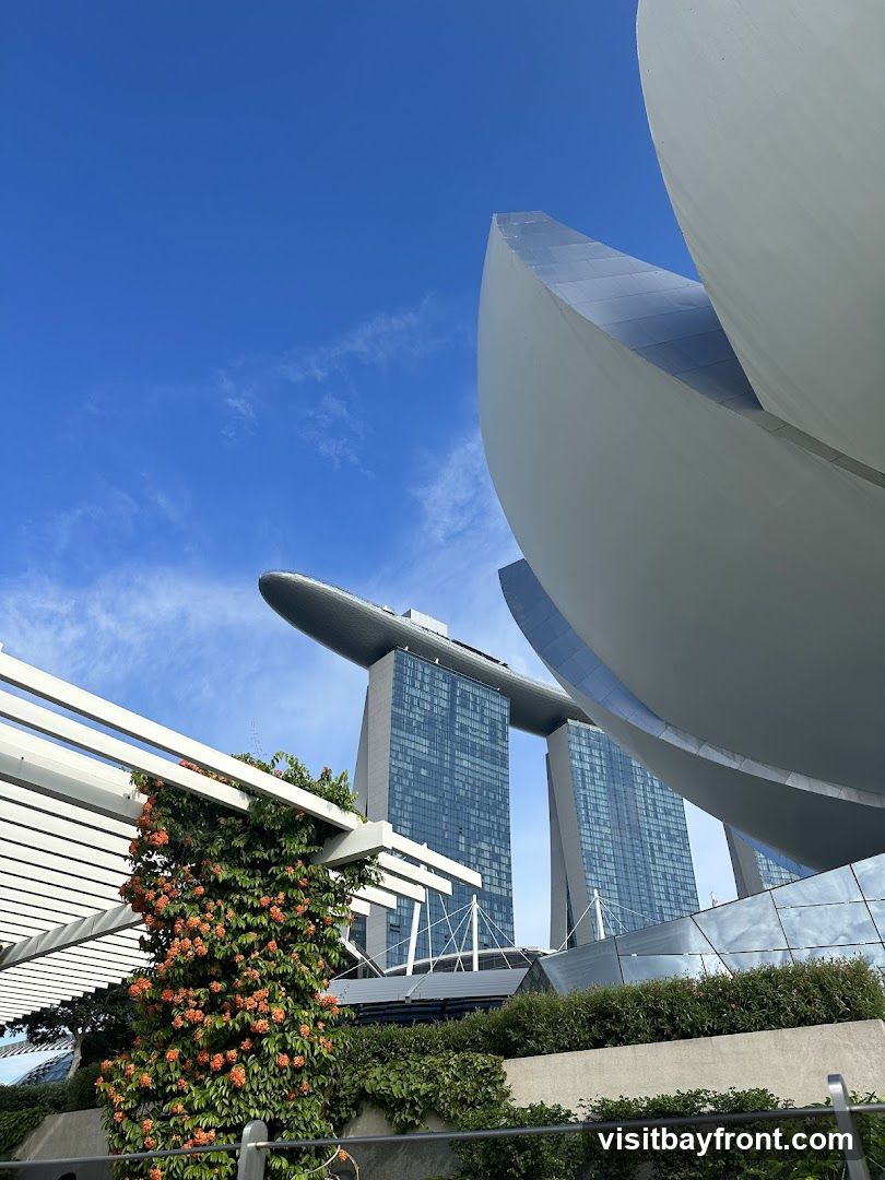 A low-angle view of the ArtScience Museum's lotus-like structure in the foreground, with the iconic Marina Bay Sands hotel towers visible in the background under a clear blue sky. Orange flowers climb a trellis on the left.