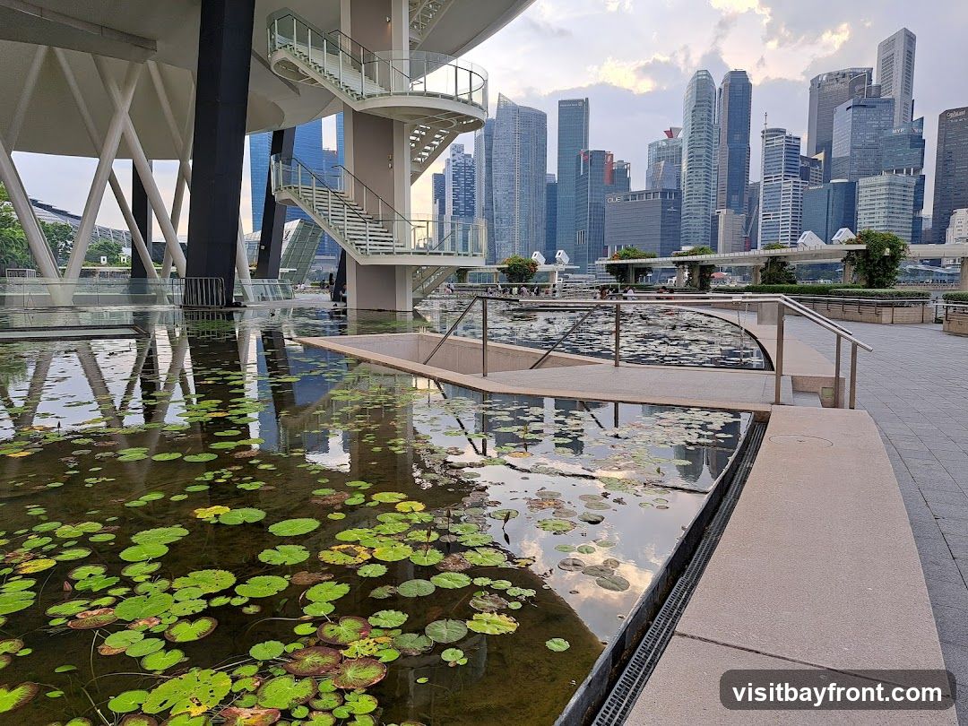 A tranquil water feature filled with lily pads reflects the modern skyscrapers of a city skyline under a cloudy sky. An outdoor staircase with a spiral design is visible on the left, part of a contemporary architectural structure.