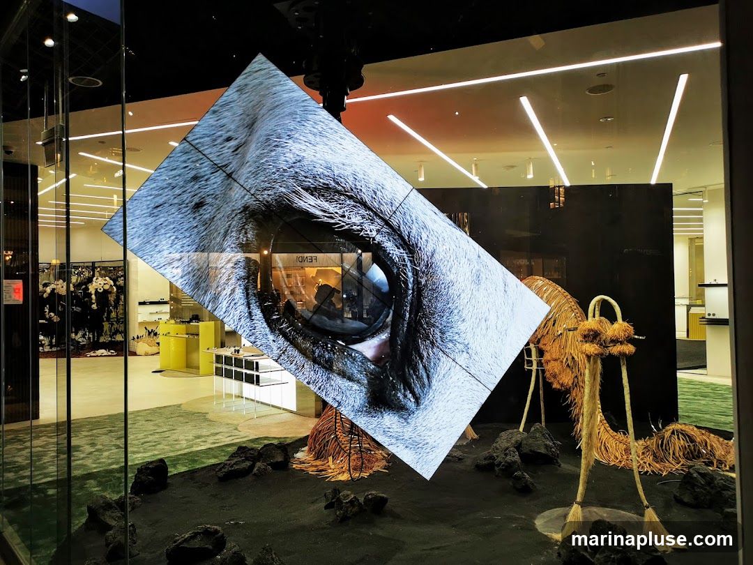 A store window display features a large, tilted digital screen showing a close-up of an animal's eye. The foreground of the display is covered in black sand with scattered rocks and abstract, straw-like sculptures. In the background, through the glass, the interior of a brightly lit store is visible, with displays of merchandise and shelving. The FENDI logo is visible on the interior signage.