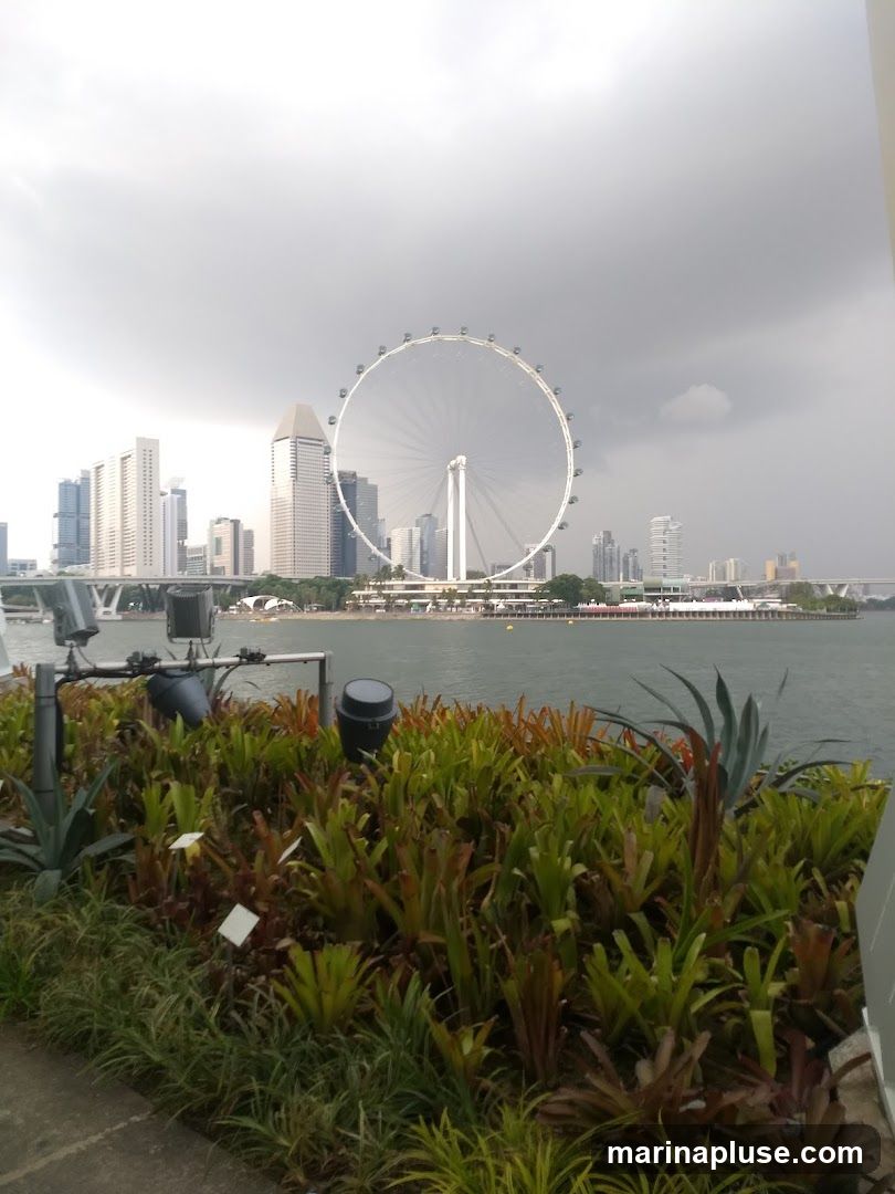 A view of the Singapore Flyer Ferris wheel and the city skyline across a body of water. In the foreground, there is a garden with various plants and some lighting fixtures. The sky is overcast.
