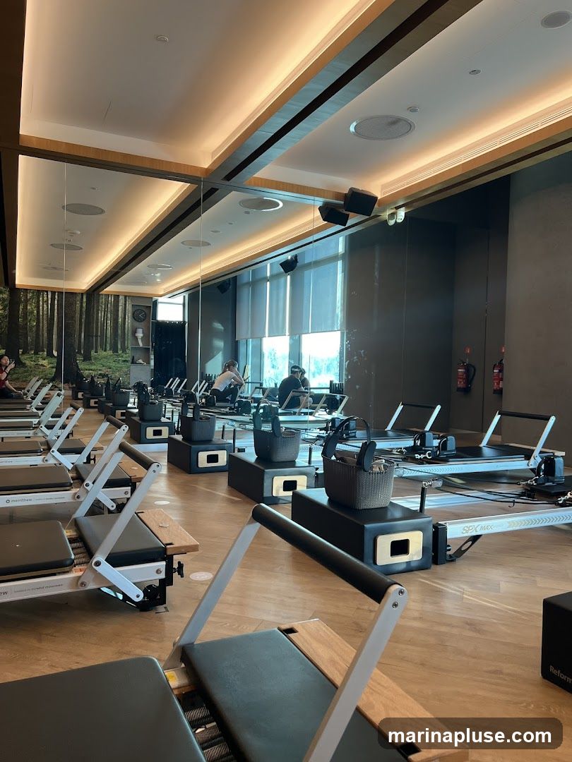 A well-lit Pilates studio with rows of reformer machines. The room features a mirrored wall reflecting the machines and a scenic forest mural. Natural light streams in from large windows covered by blinds. Several people are visible in the background, some appearing to be using the equipment.