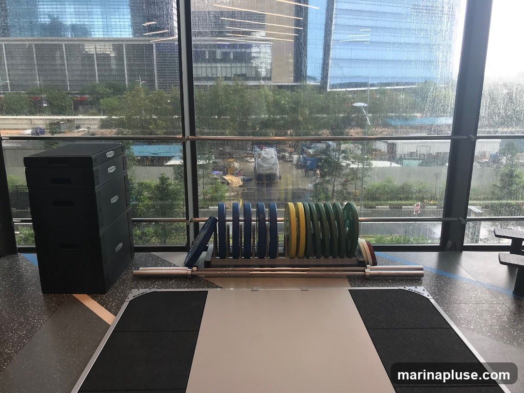 A weightlifting platform with bumper plates and a barbell rack is shown in a gym. A stack of black plyo boxes is to the left. The background is a large window overlooking a city scene with modern buildings and trees, with rain visible on the glass.