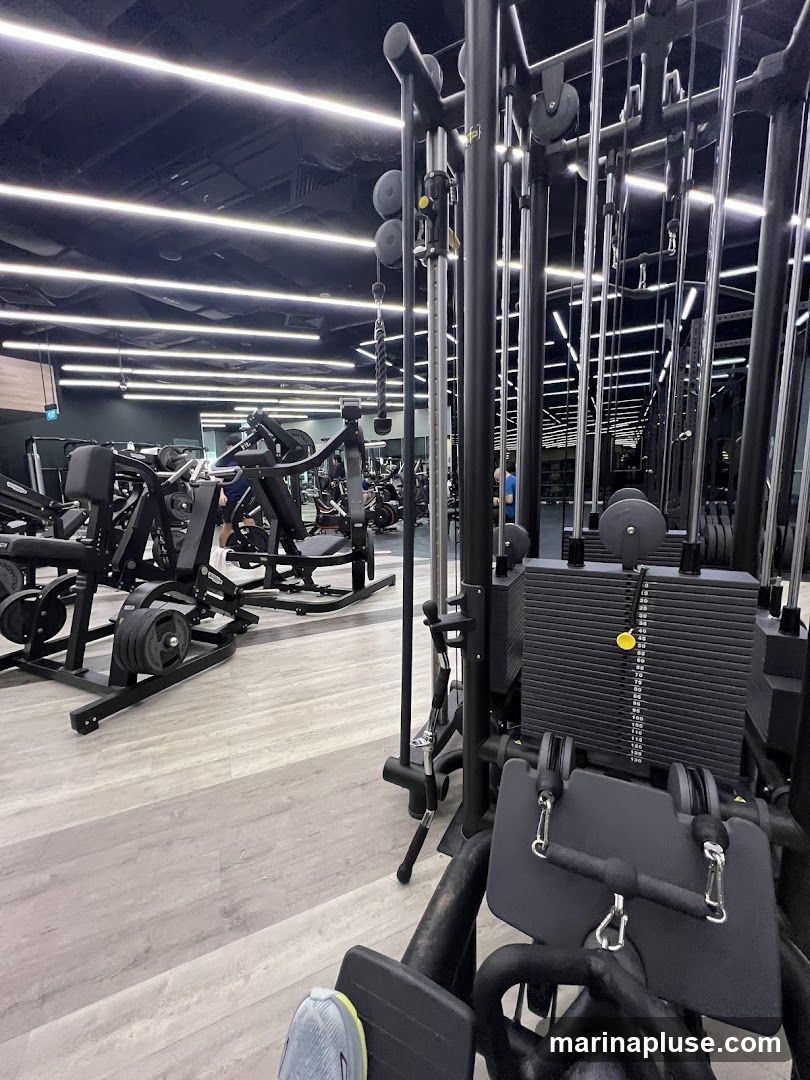An interior view of a modern gym with various weight machines and exercise equipment. The room is well-lit with strip lighting on the ceiling and has a clean, minimalist aesthetic with light-colored flooring. Several weight machines, including cable machines and leg press machines, are visible, some with people using them in the background.