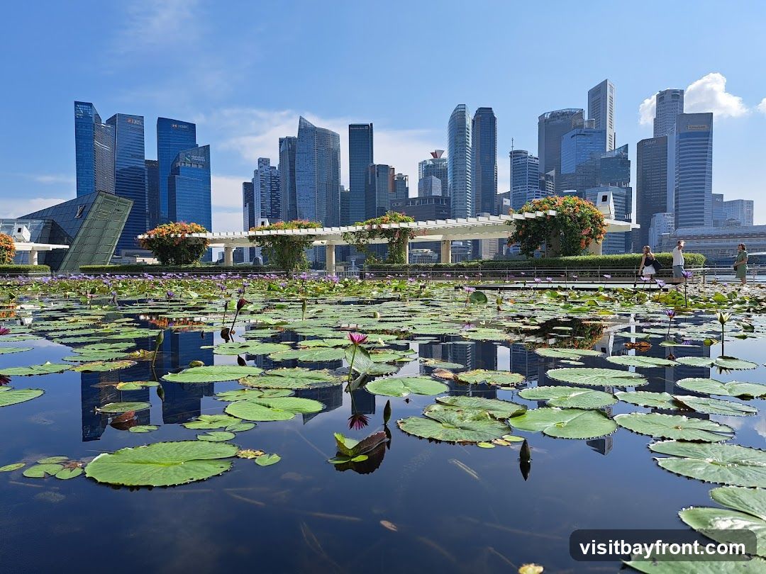 A tranquil pond filled with water lilies and lily pads is in the foreground. In the background, a modern city skyline with numerous skyscrapers rises under a clear blue sky. A walkway with decorative planters and people strolling can be seen between the pond and the city. The reflections of the buildings are visible in the dark water.