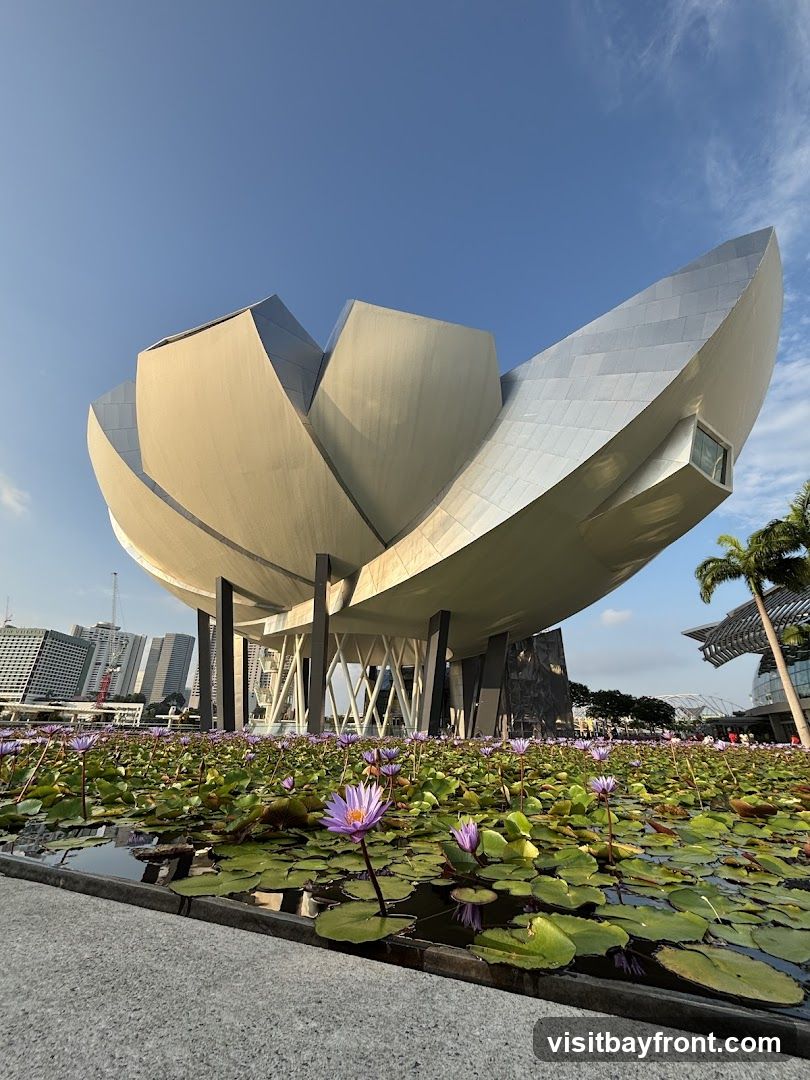A low-angle shot of the ArtScience Museum in Singapore, with its distinctive lotus-shaped roof. The museum is surrounded by a pond filled with water lilies in bloom. In the background, the city skyline is visible under a clear blue sky.