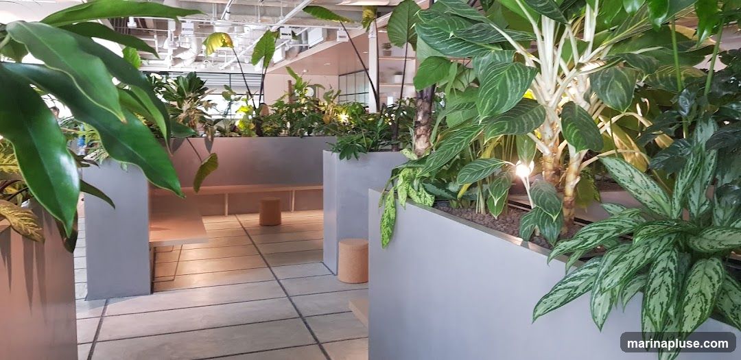 A modern interior space featuring numerous lush green plants in large grey planters. The planters are arranged to create a natural, calming atmosphere. In the background, there are light-colored benches and small cylindrical stools, suggesting a seating or waiting area. The ceiling has exposed industrial elements, contrasting with the organic plant life.