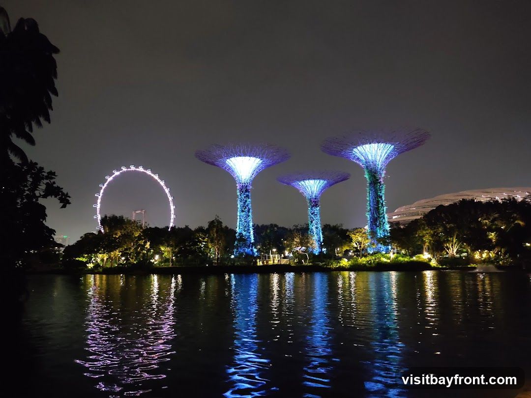 A nighttime view of Gardens by the Bay in Singapore, featuring the illuminated Supertree Grove and the Singapore Flyer in the background. The lights from the Supertrees reflect on the calm water in the foreground.