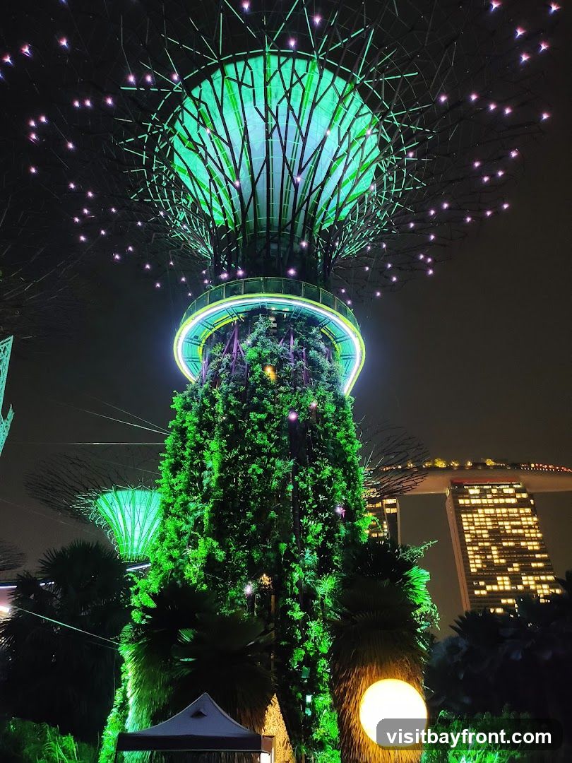 A nighttime view of the Supertree Grove at Gardens by the Bay, Singapore. The Supertrees are illuminated with green lights, and smaller lights twinkle around their canopies. In the background, the Marina Bay Sands hotel is visible, lit up with many windows. There are also palm trees and a large spherical light in the foreground.