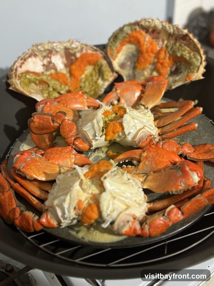 A close-up shot of several cooked crabs, some with their shells opened to reveal orange roe and green tomalley. The crabs are arranged on a circular metal rack within a dark pot.