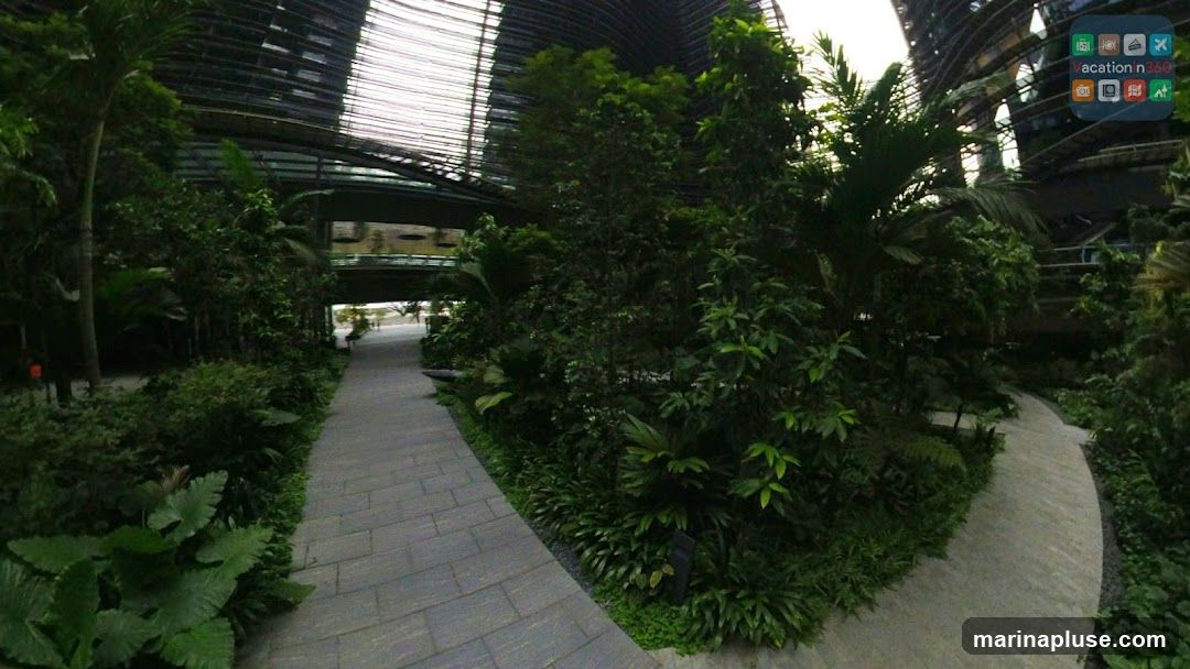 Tudor Capital Singapore Pte. Ltd.