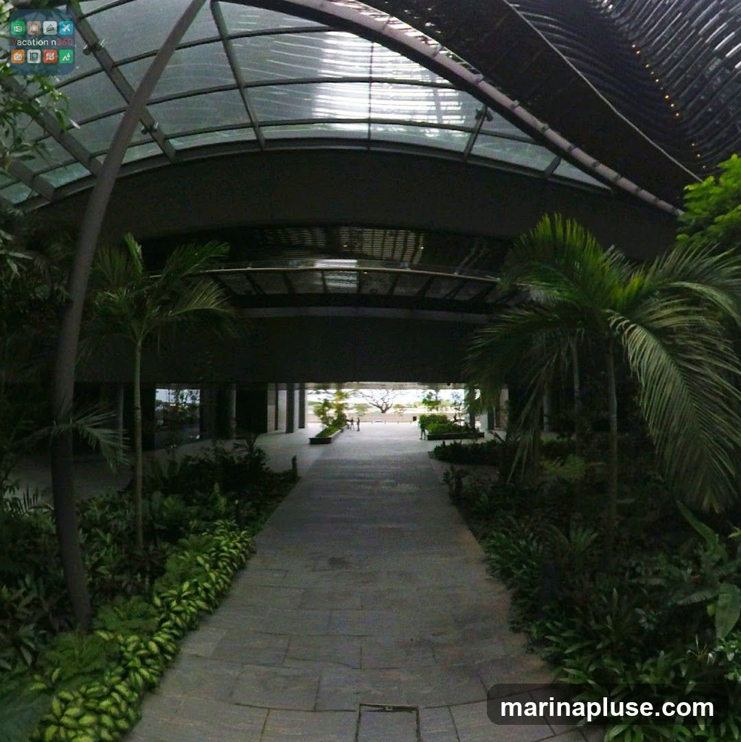 A wide stone pathway leads through a lush, modern conservatory with a curved glass and metal roof. Tropical plants and palm trees line the walkway, creating a serene and verdant atmosphere. In the distance, the pathway opens to a bright outdoor area with trees and a glimpse of the sky.