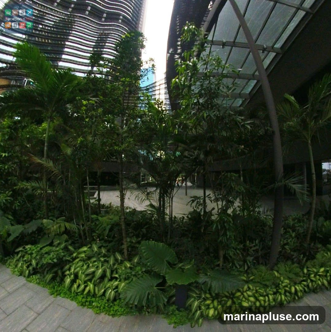 A wide-angle view of a landscaped area with various tropical plants, including palm trees and large-leafed plants, situated between modern architectural structures. The foreground features a paved walkway.