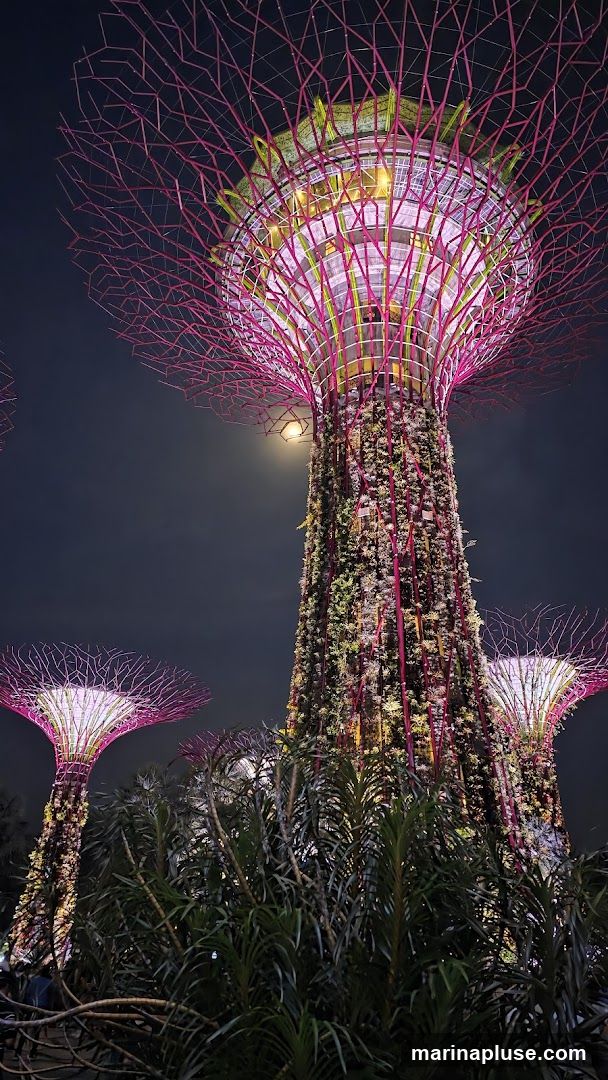 Supertree Grove