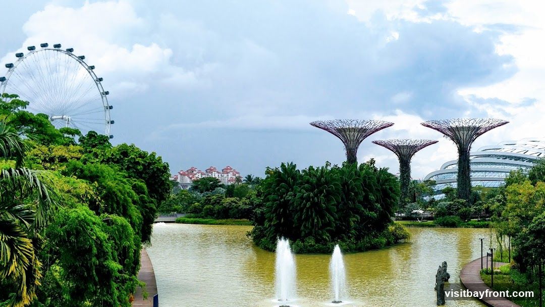 Supertree Grove
