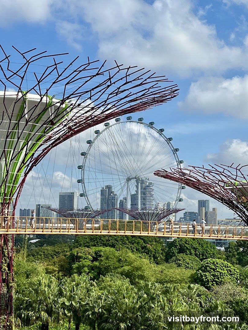 A view of the Supertree Grove at Gardens by the Bay in Singapore, with the Singapore Flyer Ferris wheel and city skyline in the background. The foreground features lush greenery and the distinctive, tree-like structures of the Supertrees. A skywalk connects some of the Supertrees, with a few people visible walking on it. The sky is blue with scattered white clouds.