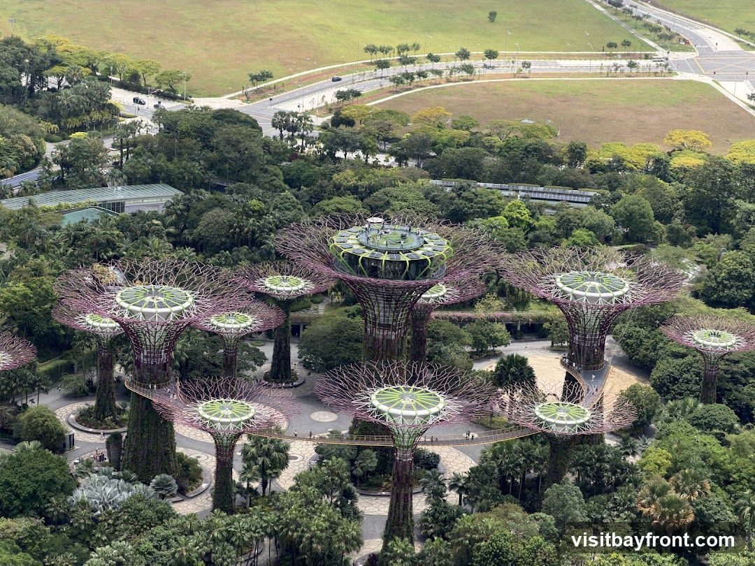 An aerial view of the Supertree Grove at Gardens by the Bay, Singapore. The iconic vertical gardens, resembling giant trees, are surrounded by lush greenery and pathways. In the background, a large grassy field and a road with cars are visible.