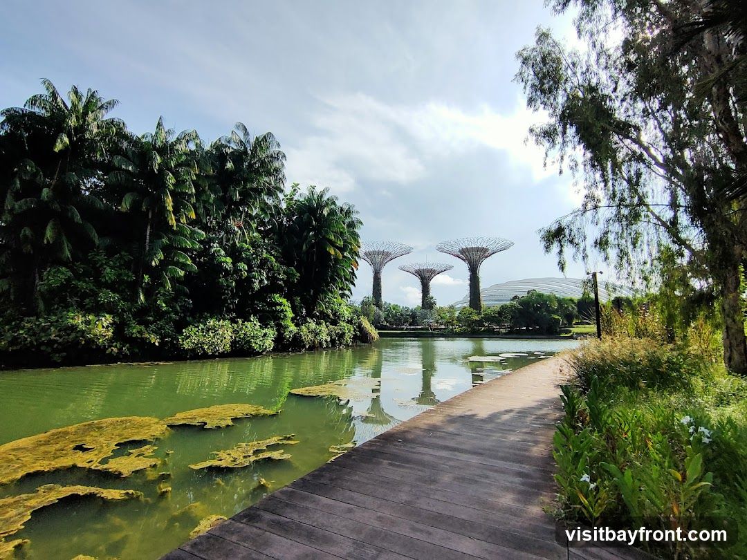 A scenic view of Gardens by the Bay in Singapore, featuring the iconic Supertree Grove and the Flower Dome in the background. A wooden boardwalk runs along the edge of a tranquil green body of water, with lush tropical foliage on the left and trees on the right. The sky is partly cloudy with bright sunlight.