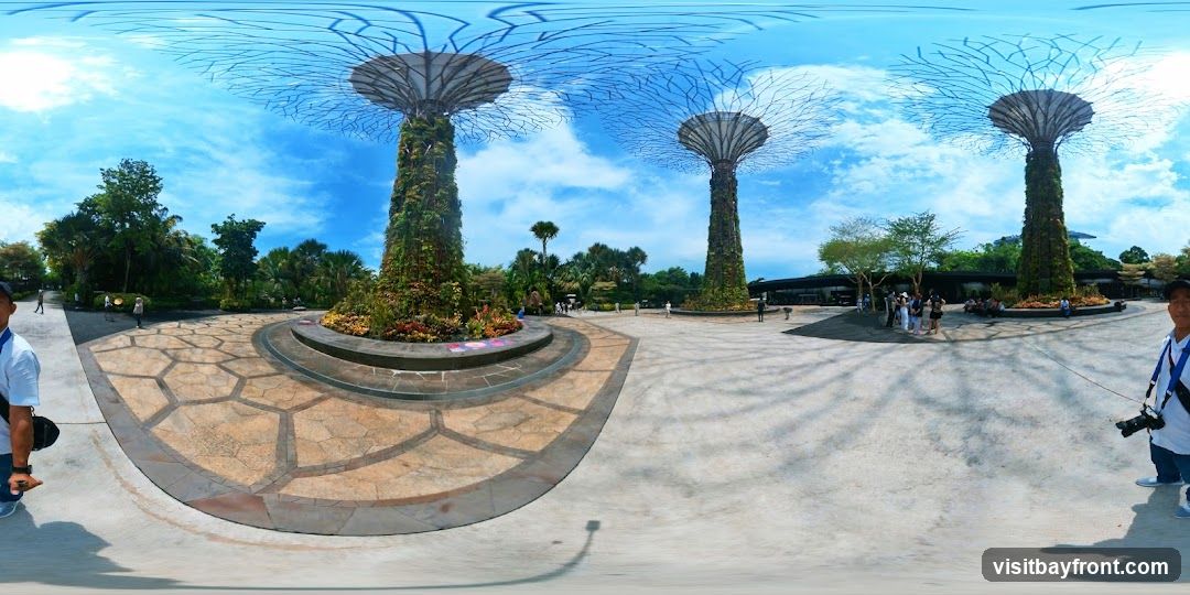 A panoramic view of the Supertree Grove at Gardens by the Bay, Singapore. The iconic vertical gardens are covered in lush greenery and topped with intricate canopies. People are seen walking around the paved pathways and gathering in small groups. The sky is blue with scattered clouds.