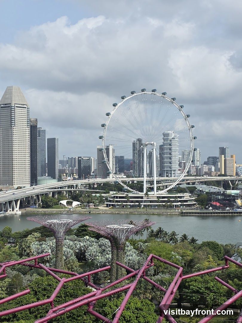 A panoramic view of the Singapore skyline, featuring the iconic Gardens by the Bay with its Supertree Grove in the foreground. In the mid-ground, a large Ferris wheel dominates the scene, with a body of water separating it from the lush greenery. The background is filled with modern skyscrapers and a highway overpass, under a cloudy sky.