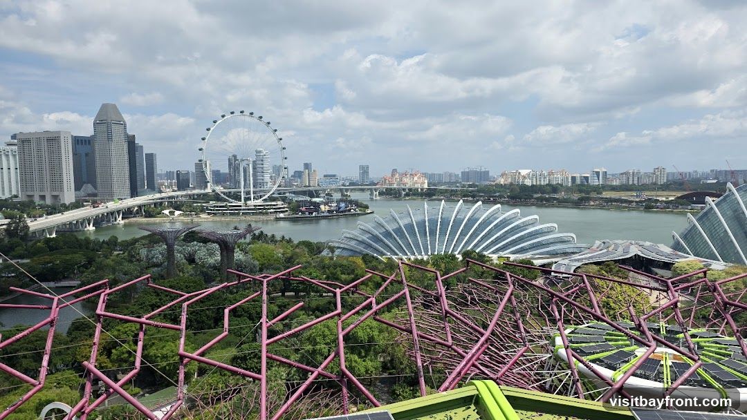 A panoramic view of the Singapore skyline, featuring modern skyscrapers, the Singapore Flyer Ferris wheel, and the distinctive domes of Gardens by the Bay. The foreground shows the intricate structure of the Supertree Grove, with lush greenery and a body of water in the mid-ground. The sky is partly cloudy.