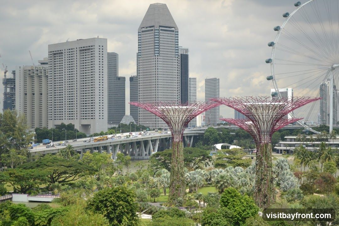A panoramic view of the Singapore skyline, featuring the iconic Supertree Grove at Gardens by the Bay in the foreground. The futuristic structures of the Supertrees, with their intricate metal canopies, are a prominent feature. Behind them, a multi-lane bridge carries traffic, with numerous cars and trucks visible. In the background, a cluster of modern skyscrapers rises, including the Pan Pacific hotel. To the right, a large Ferris wheel, likely the Singapore Flyer, is partially visible against a cloudy sky. The scene is lush with greenery, with trees and foliage surrounding the park area.