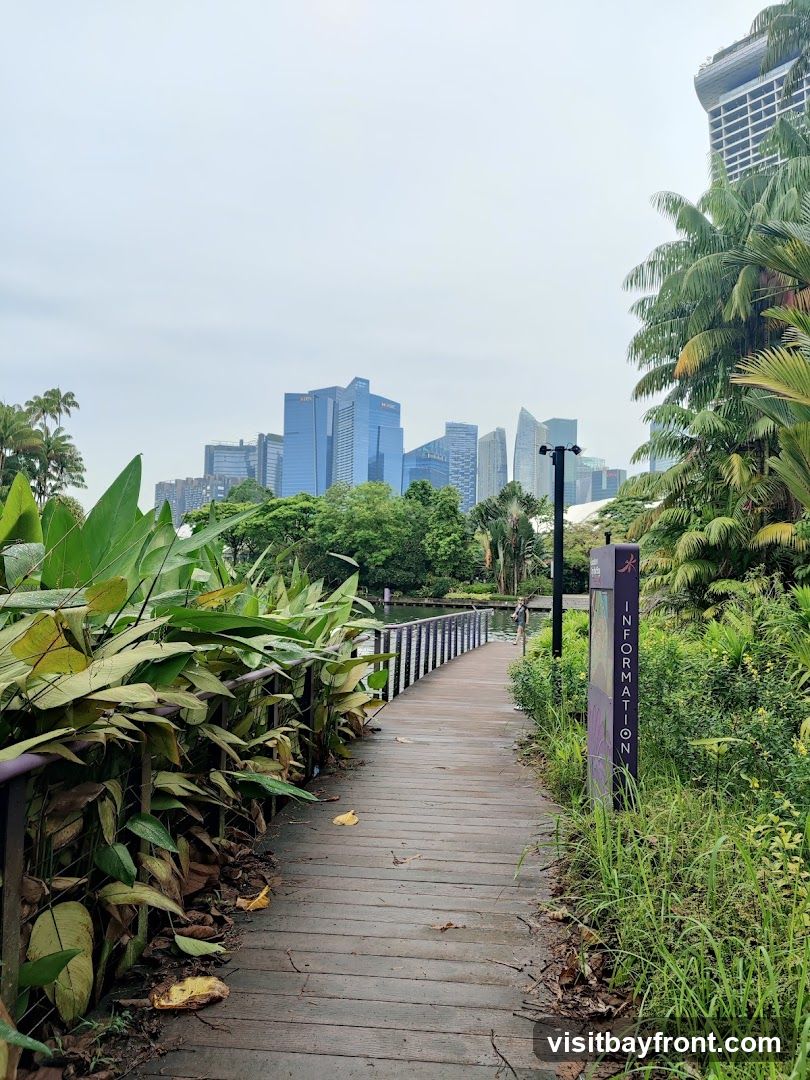 A wooden boardwalk curves through a vibrant garden filled with large green plants and palm trees. In the background, a modern city skyline with tall glass buildings is visible under an overcast sky. An information sign stands beside the boardwalk.