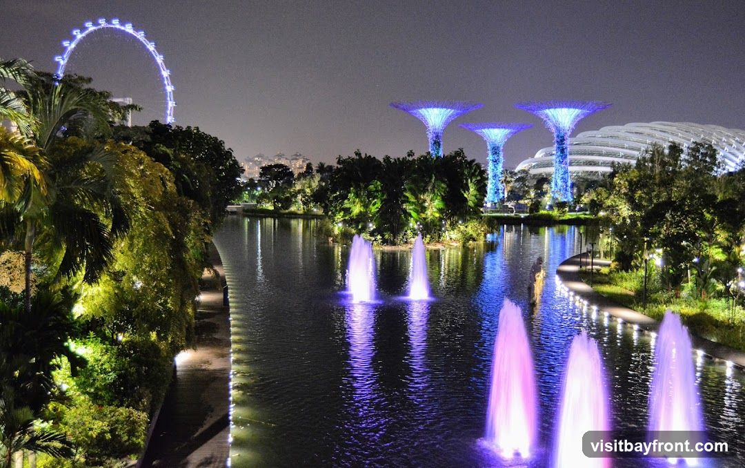A nighttime view of Gardens by the Bay in Singapore, featuring illuminated Supertrees, a Ferris wheel in the distance, and fountains spraying water in a pond. The scene is lit with vibrant blue and purple lights, creating a magical atmosphere.