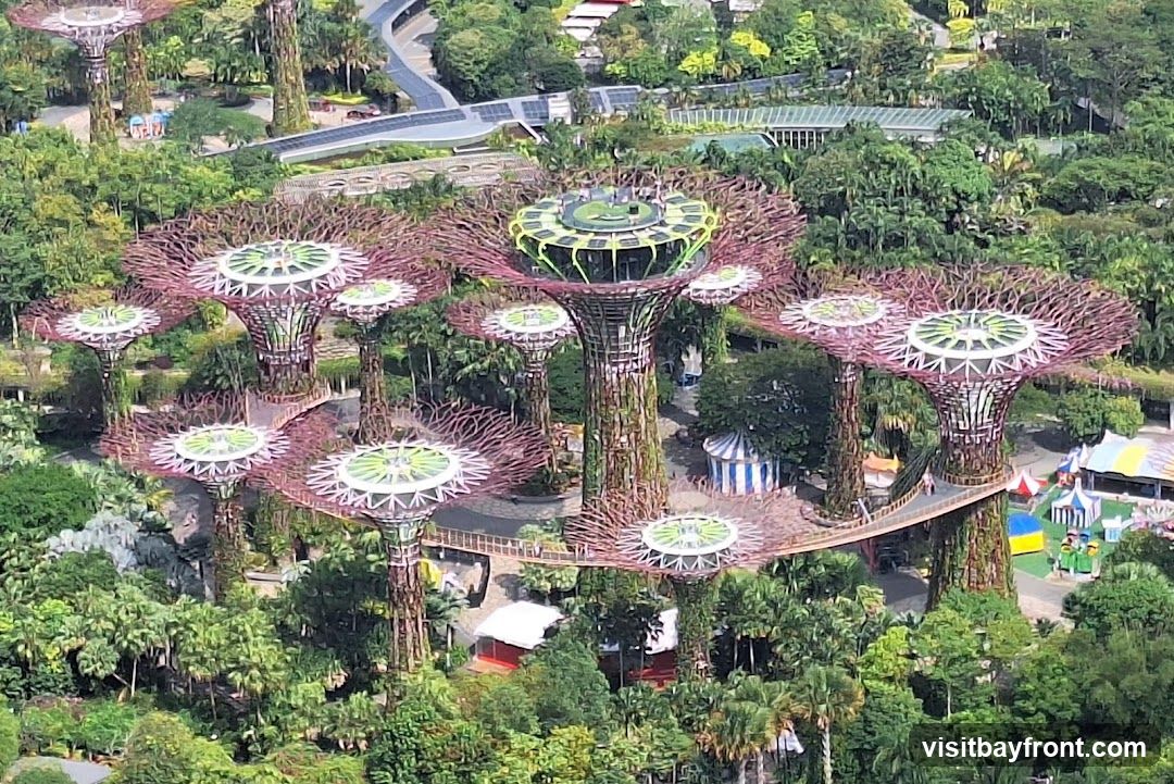 An aerial view of the Supertree Grove at Gardens by the Bay, Singapore. The iconic vertical gardens are surrounded by lush greenery and other park structures, including a skywalk connecting some of the Supertrees. In the background, modern architecture and solar panels are visible.