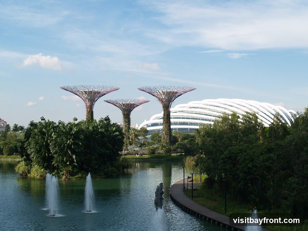 A scenic view of the Supertrees and the Cloud Forest and Flower Dome conservatories at Gardens by the Bay, Singapore. The Supertrees are large, tree-like vertical gardens, and the domes are futuristic-looking structures. A calm body of water with fountains is in the foreground, with a wooden walkway winding along the edge. Lush greenery surrounds the water and structures, under a bright blue sky with scattered clouds.