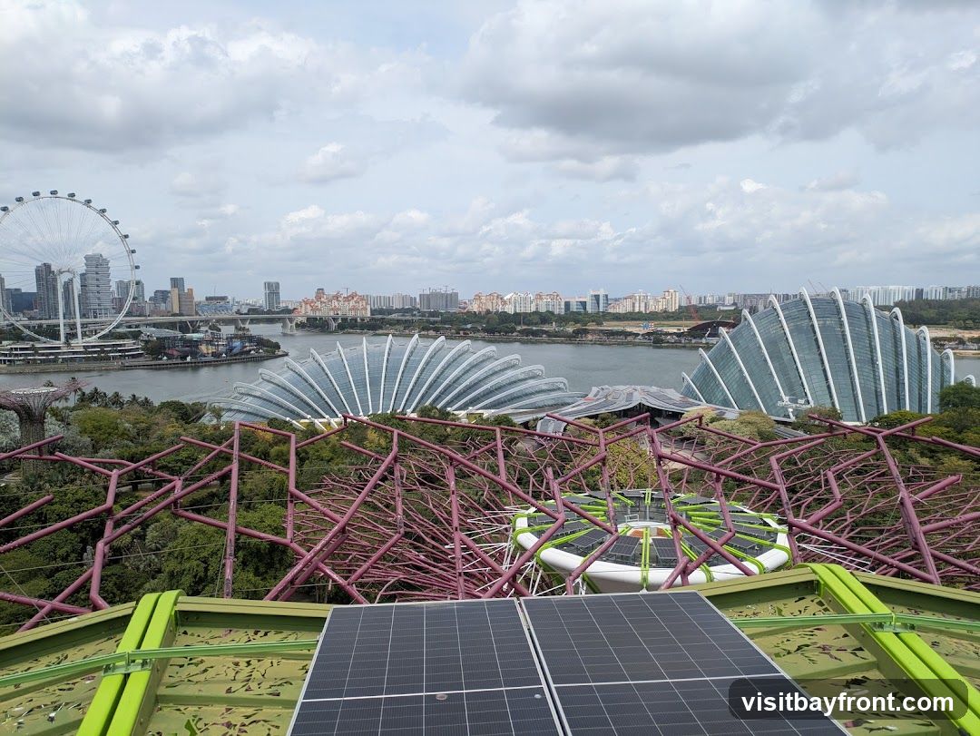 A panoramic view of Gardens by the Bay in Singapore, featuring the iconic Supertree Grove in the foreground with its intricate purple lattice structure. In the mid-ground, the large, shell-shaped conservatories, Cloud Forest and Flower Dome, are visible. Beyond them, the Singapore Flyer Ferris wheel and the city skyline rise against a cloudy sky. Solar panels are prominent in the immediate foreground, suggesting a focus on sustainable energy.