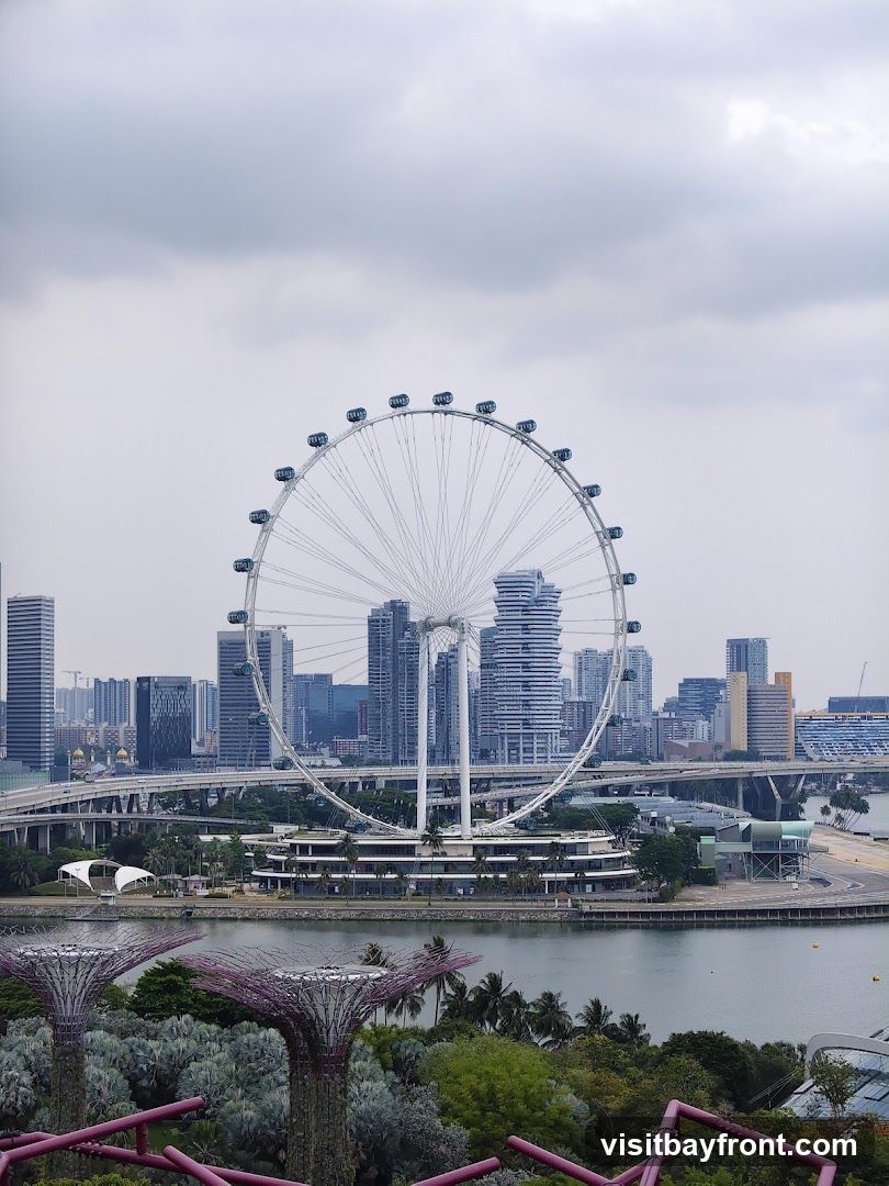 A panoramic view of the Singapore Flyer Ferris wheel and the Supertree Grove at Gardens by the Bay, with the city skyline in the background under a cloudy sky.