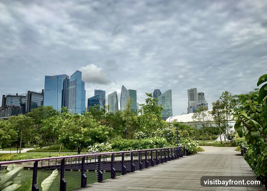 A wooden pathway with purple railings curves through a lush green park, leading towards a modern city skyline under a cloudy sky. The park features abundant trees and flowering bushes, with a body of water visible beneath the bridge. The background is dominated by numerous tall skyscrapers of varying architectural designs.