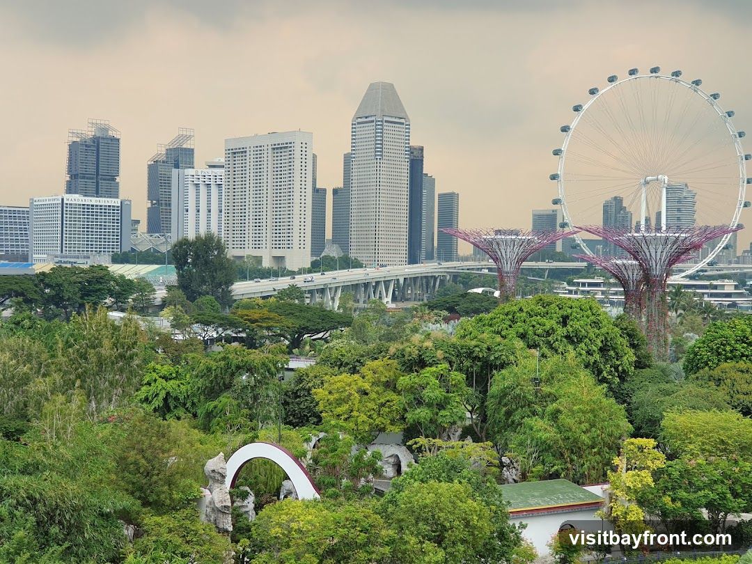 A panoramic view of the Singapore skyline, featuring modern skyscrapers, the Singapore Flyer Ferris wheel, and the iconic Supertree Grove at Gardens by the Bay. Lush greenery and trees fill the foreground, with a distinctive white arch structure visible amidst the foliage. The sky is overcast, casting a soft light over the cityscape.