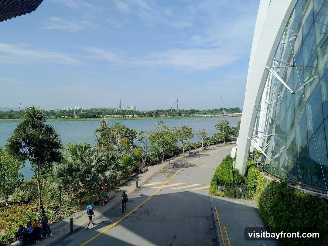 A wide shot captures a modern, curved building with a glass facade on the right, reflecting the sky and surrounding greenery. In the foreground, a paved walkway leads towards the building, bordered by lush tropical plants and trees. A body of water stretches across the middle ground, with a distant cityscape and construction cranes visible on the horizon under a bright, partly cloudy sky. Several people are seen walking and sitting along the walkway.