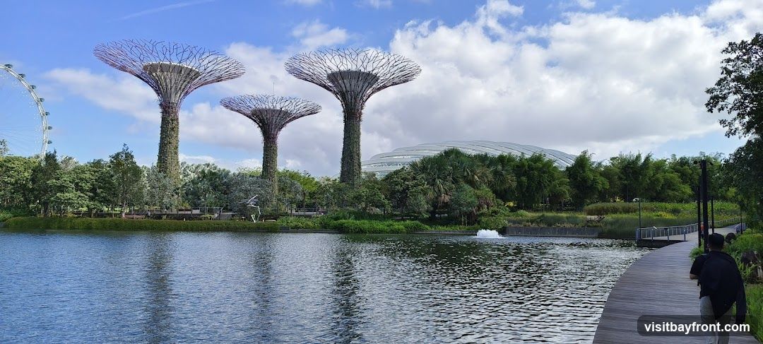 A panoramic view of the Supertree Grove at Gardens by the Bay, Singapore, with the Flower Dome and Cloud Forest domes in the background. A calm body of water reflects the sky and the iconic structures. A wooden boardwalk curves along the edge of the water, with a person walking away from the camera. The sky is partly cloudy with a bright blue sky.