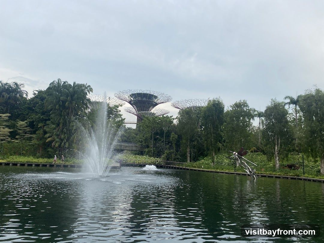 A scenic view of Gardens by the Bay with a fountain in the foreground and the iconic Supertree Grove in the background. Lush greenery and palm trees surround a tranquil body of water, with a pathway visible along the edge. A metal dragonfly sculpture is also present near the water.