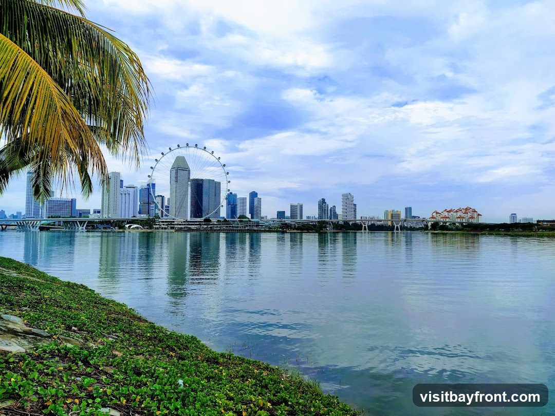 A scenic view of a city skyline across a body of water, with a large Ferris wheel prominently featured. The foreground shows lush green vegetation and the calm water reflects the buildings and sky. Palm fronds are visible in the upper left corner, adding a tropical feel to the urban landscape. The sky is partly cloudy with a mix of blue and white.