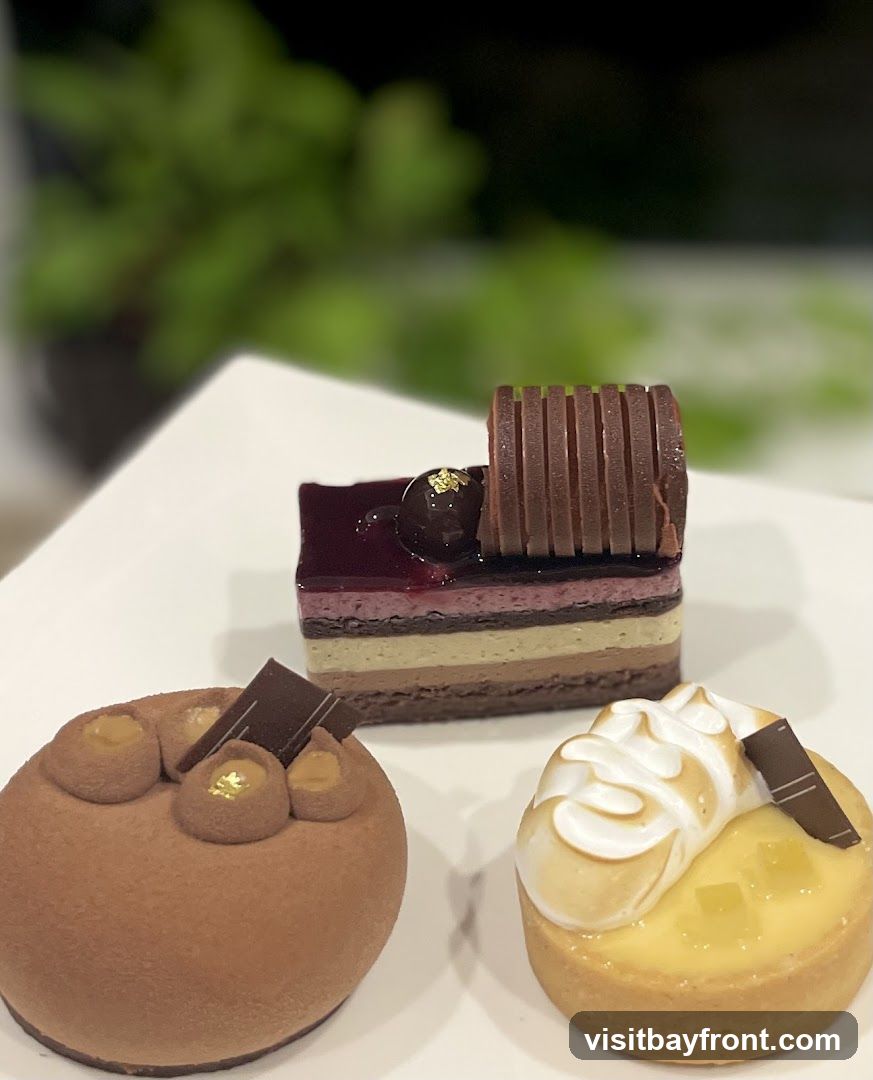 Three individual desserts are displayed on a white plate. The dessert on the left is a round, chocolate-covered mousse with three dollops of caramel and a piece of chocolate on top. The dessert in the center is a layered rectangular cake with dark chocolate, cream, and a dark berry glaze, topped with a chocolate garnish and a cherry. The dessert on the right is a lemon tart with meringue topping, garnished with chocolate. A blurred green plant is visible in the background.