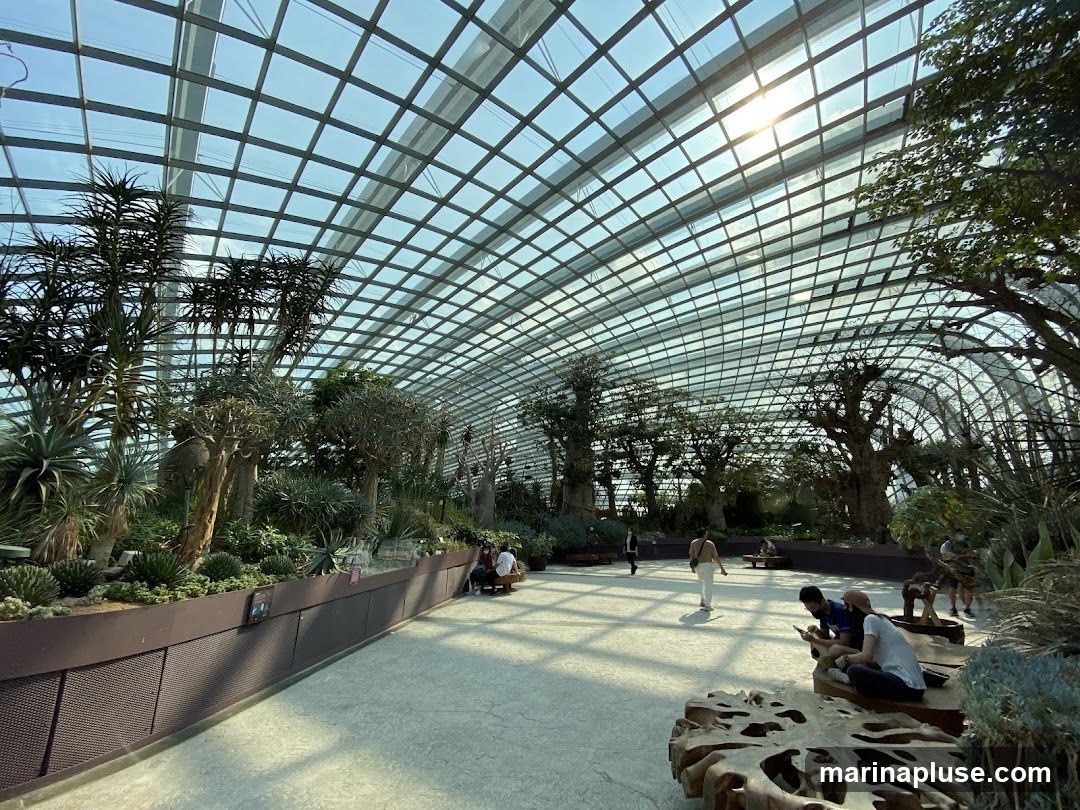 Flower Dome