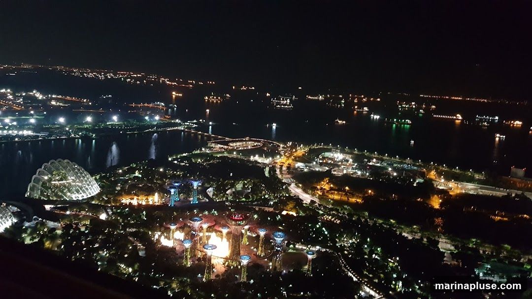 An aerial view of a city at night, showcasing illuminated gardens with distinctive dome structures and towering, tree-like light installations. The cityscape extends to a body of water filled with numerous ships and boats, with lights reflecting on the water's surface. The overall scene is a vibrant display of urban development and illuminated natural or artificial landscapes.