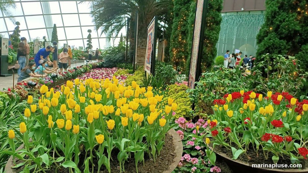 Flower Dome